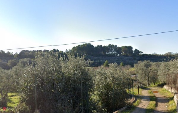 terreno agricolo in vendita a Modugno