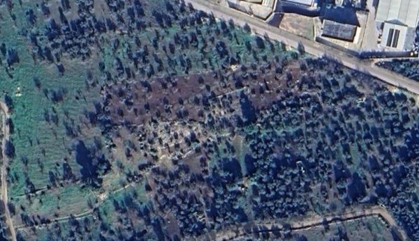 terreno agricolo in vendita a Modugno