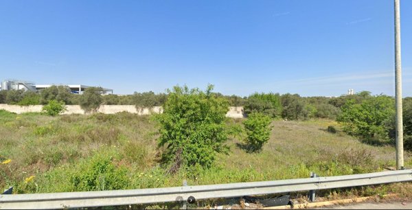 terreno agricolo in vendita a Modugno