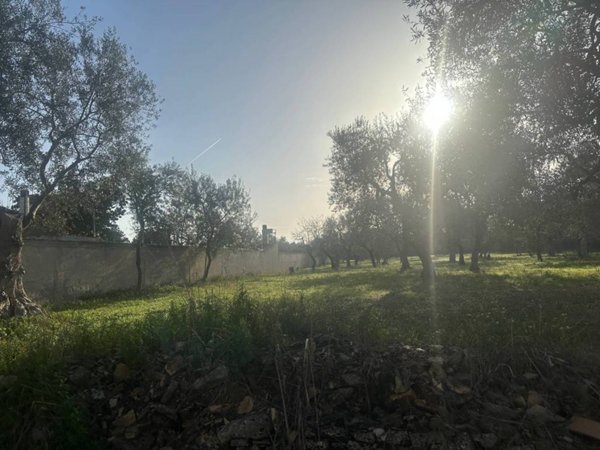 terreno agricolo in vendita a Modugno