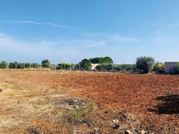 terreno agricolo in vendita a Mola di Bari