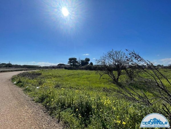 terreno agricolo in vendita a Mola di Bari