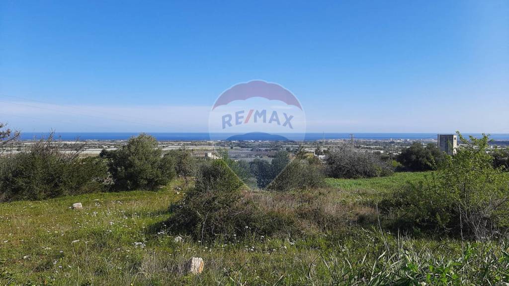 appartamento in vendita a Mola di Bari