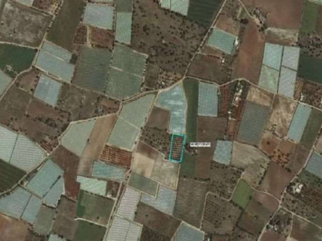 terreno agricolo in vendita a Mola di Bari