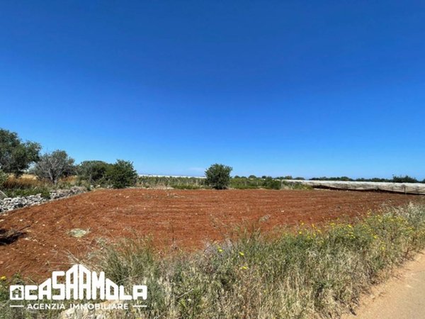 terreno agricolo in vendita a Mola di Bari in zona Cozze