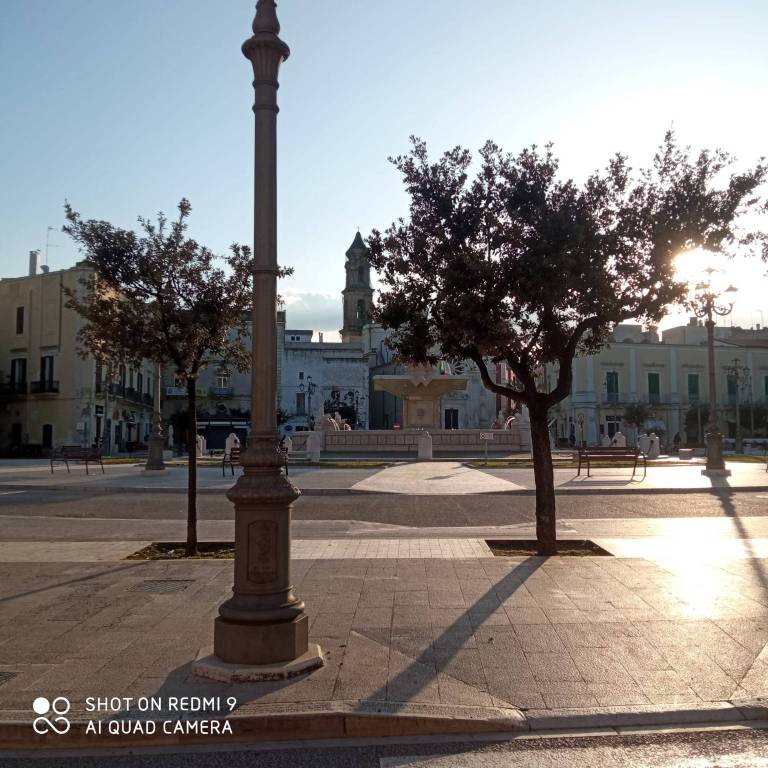 appartamento in vendita a Mola di Bari