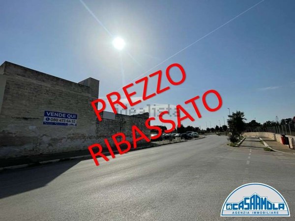 appartamento in vendita a Mola di Bari