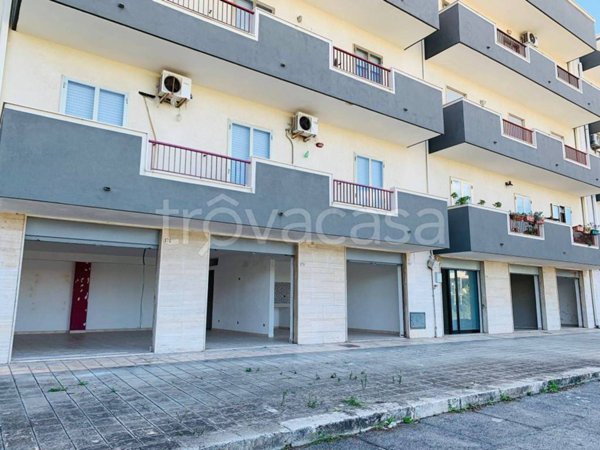 appartamento in vendita a Mola di Bari