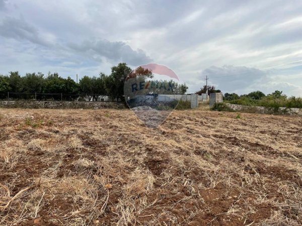 terreno agricolo in vendita a Mola di Bari