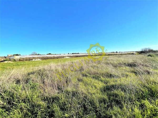 terreno agricolo in vendita a Mola di Bari