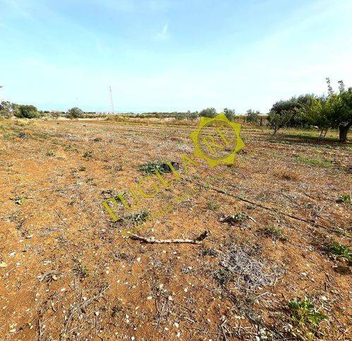 terreno agricolo in vendita a Mola di Bari