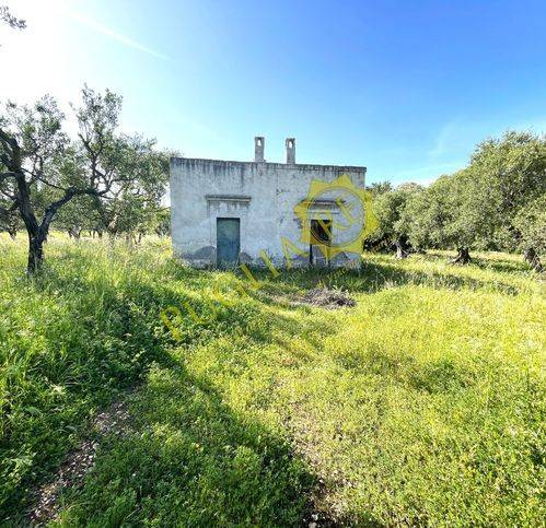 terreno agricolo in vendita a Mola di Bari