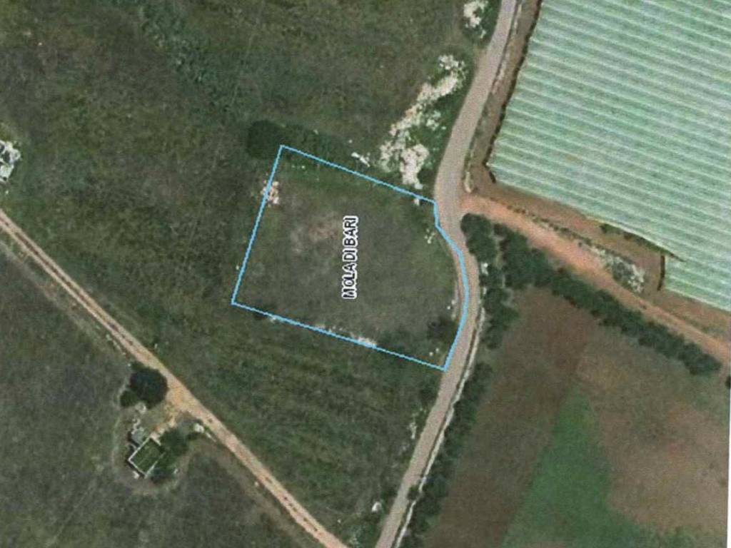 terreno agricolo in vendita a Mola di Bari