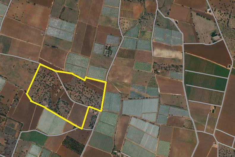terreno agricolo in vendita a Mola di Bari