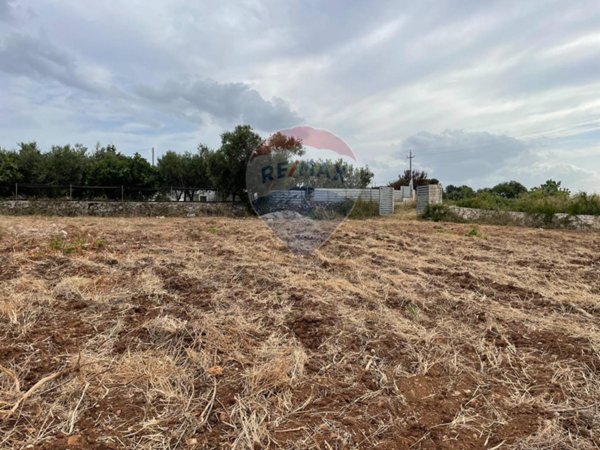 terreno agricolo in vendita a Mola di Bari