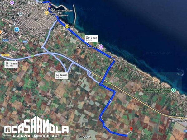 terreno agricolo in vendita a Mola di Bari