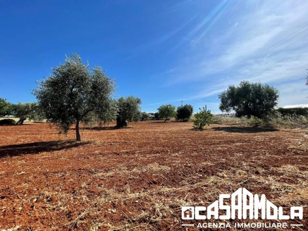 terreno agricolo in vendita a Mola di Bari