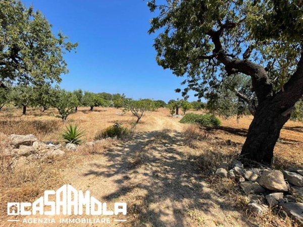 terreno agricolo in vendita a Mola di Bari