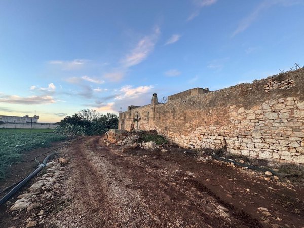 esavano in vendita a Mola di Bari in zona Cozze