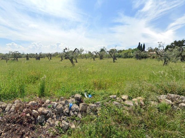 terreno agricolo in vendita a Mola di Bari