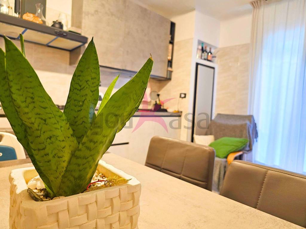 casa indipendente in vendita a Mola di Bari
