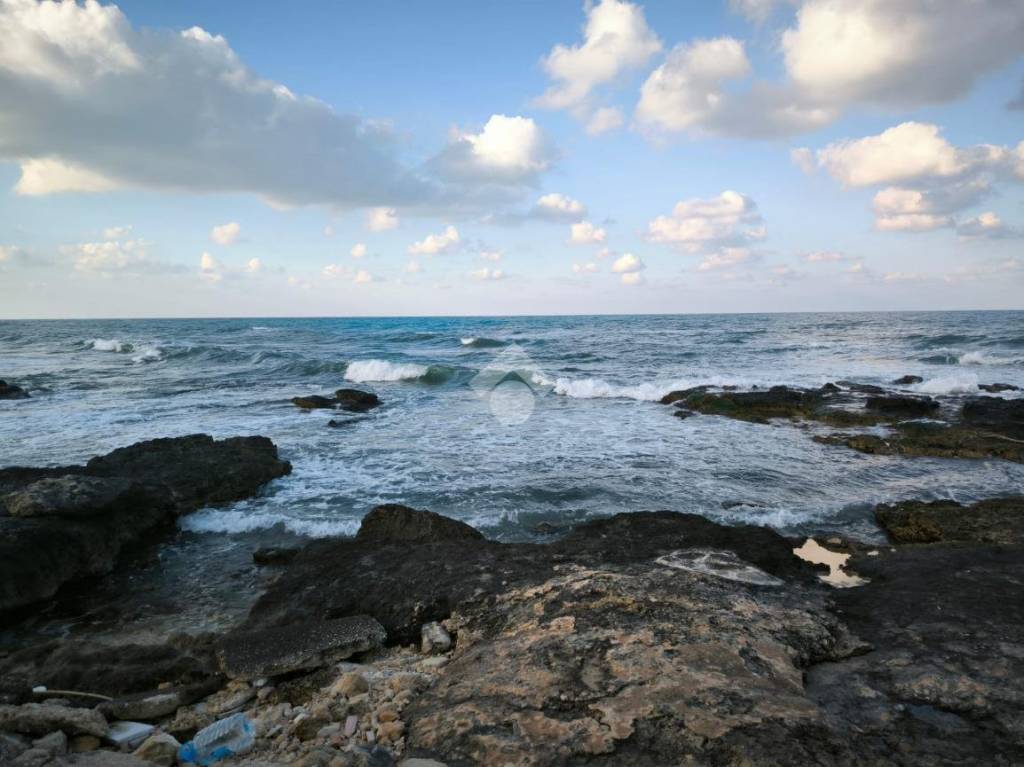 casa indipendente in vendita a Mola di Bari