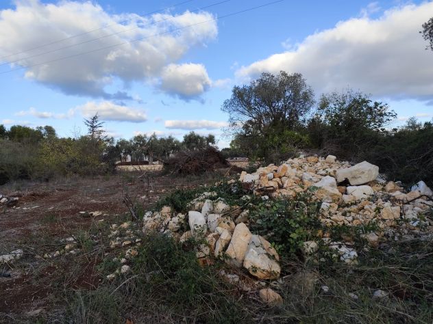 villa in vendita a Mola di Bari