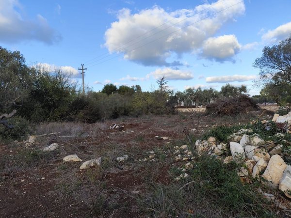 villa in vendita a Mola di Bari