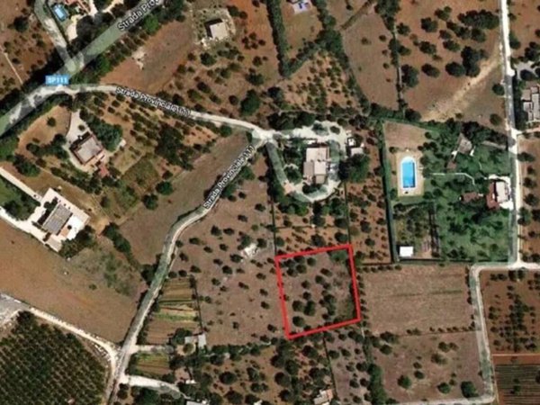 terreno agricolo in vendita a Mola di Bari