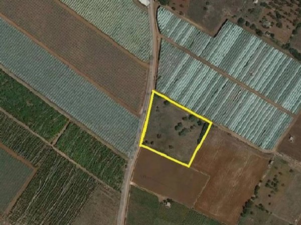 casale in vendita a Mola di Bari