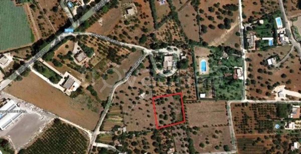 terreno agricolo in vendita a Mola di Bari