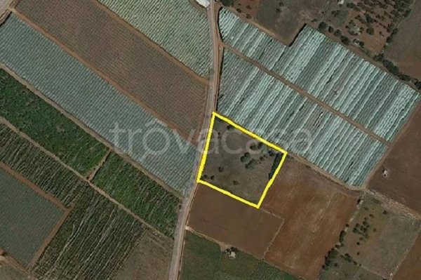 casale in vendita a Mola di Bari