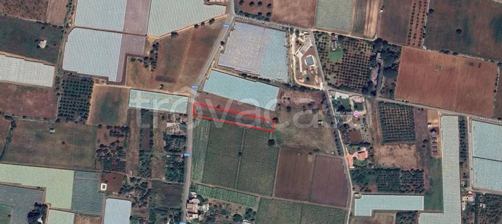 casale in vendita a Mola di Bari