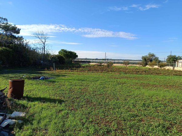 terreno agricolo in vendita a Mola di Bari