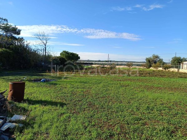 terreno agricolo in vendita a Mola di Bari