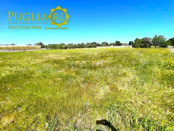 terreno agricolo in vendita a Mola di Bari