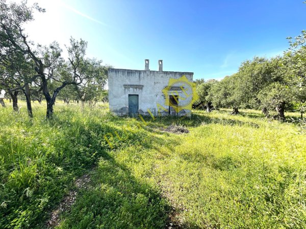 terreno agricolo in vendita a Mola di Bari