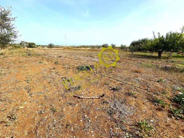 terreno agricolo in vendita a Mola di Bari