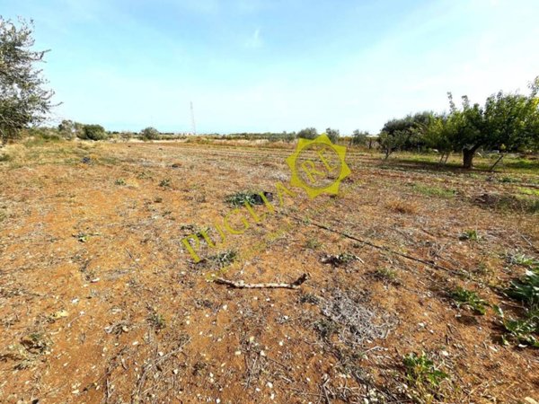 terreno agricolo in vendita a Mola di Bari