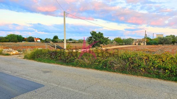 appartamento in vendita a Mola di Bari