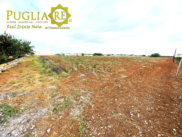 terreno agricolo in vendita a Mola di Bari