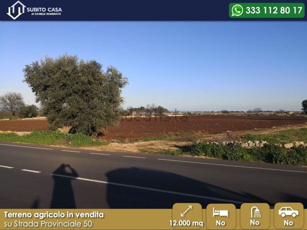 terreno agricolo in vendita a Mola di Bari in zona Cozze