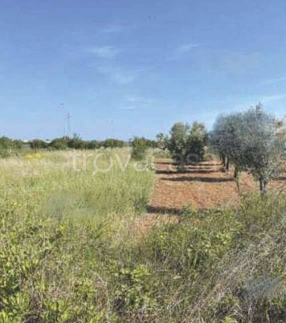 appartamento in vendita a Mola di Bari