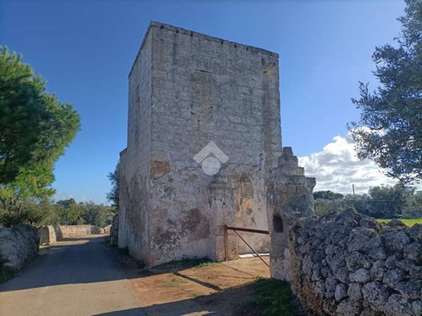 terreno agricolo in vendita a Mola di Bari in zona Cozze
