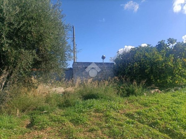 terreno agricolo in vendita a Mola di Bari
