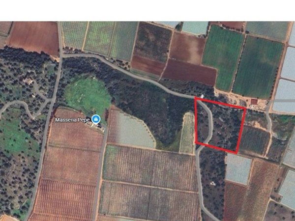 terreno agricolo in vendita a Mola di Bari