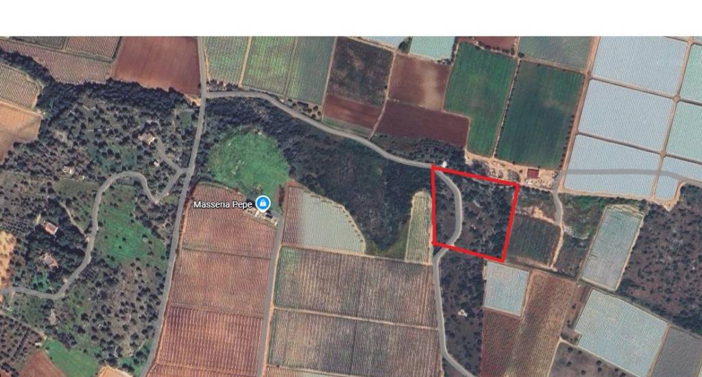 terreno agricolo in vendita a Mola di Bari
