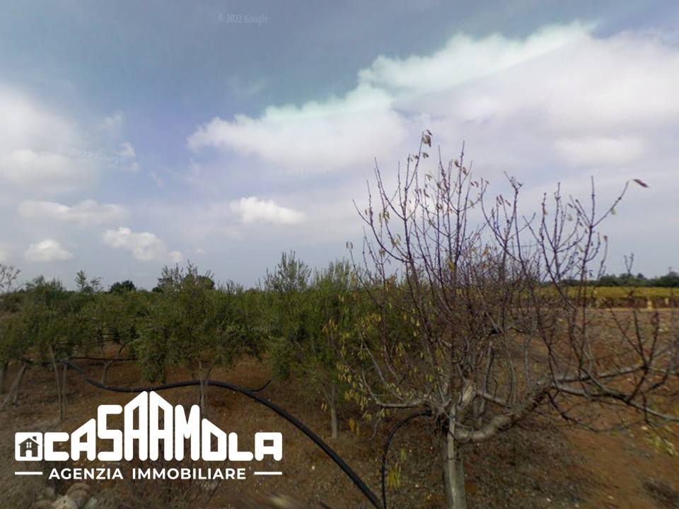terreno agricolo in vendita a Mola di Bari