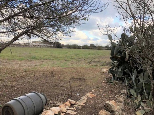 casa indipendente in vendita a Mola di Bari