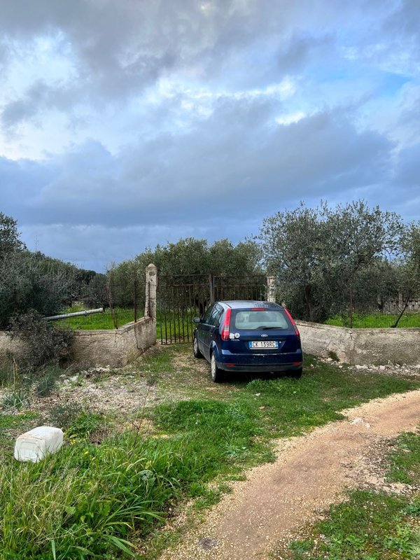 terreno agricolo in vendita a Mola di Bari